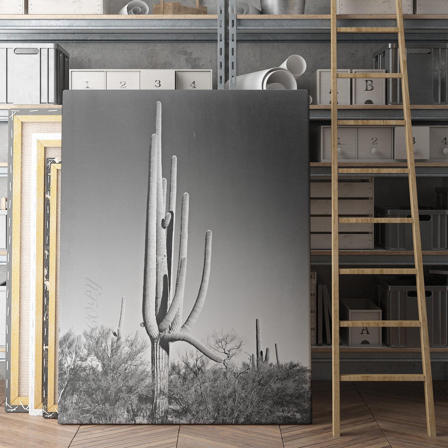 Cactus in Saguaro National Monument, Arizona Ansel Adams