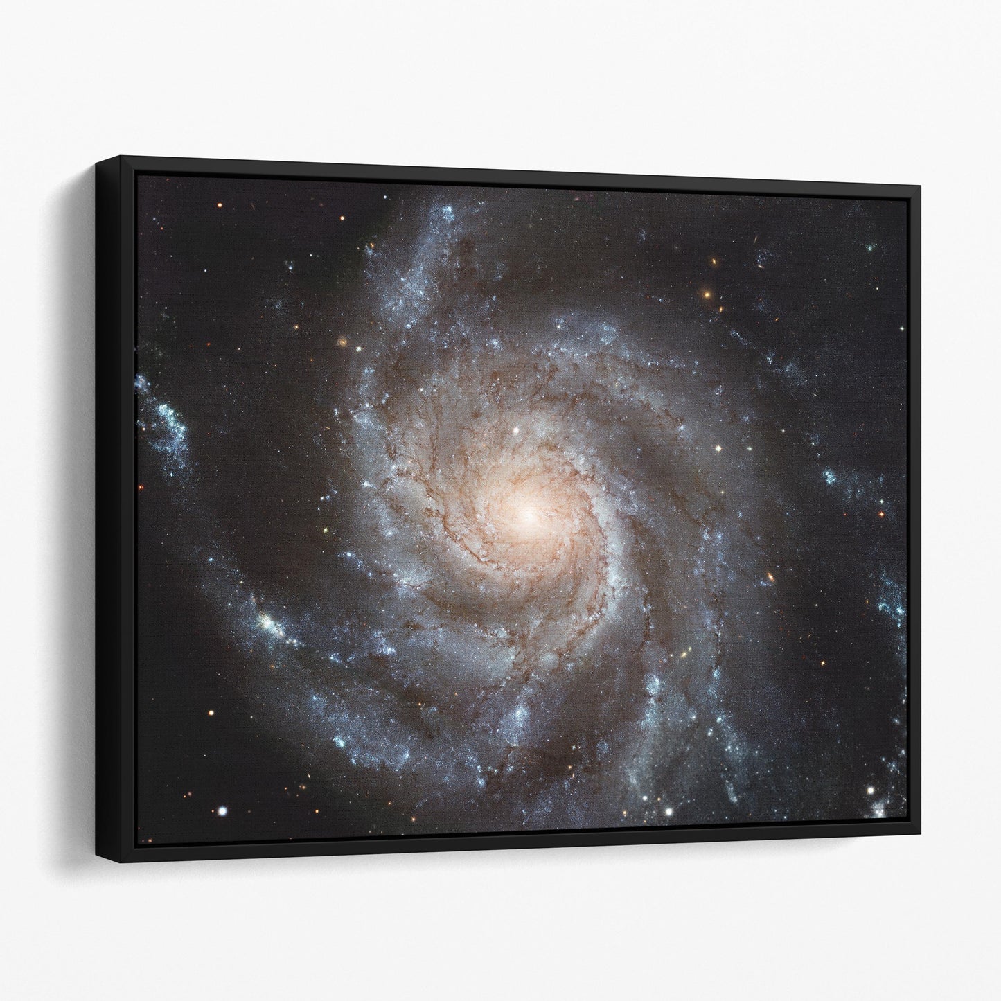 Big, Beautiful Spiral, Messier 101 (Pinwheel Galaxy)