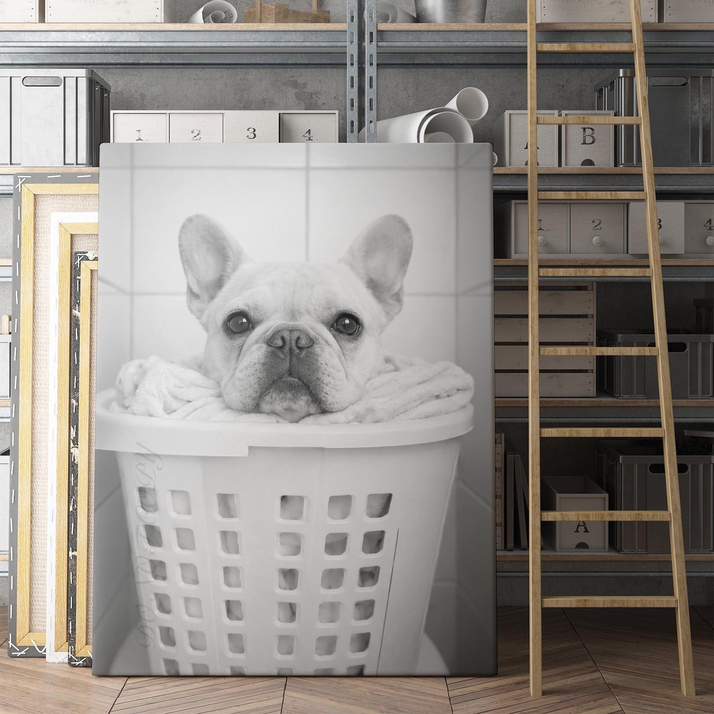 French Bulldog Laundry