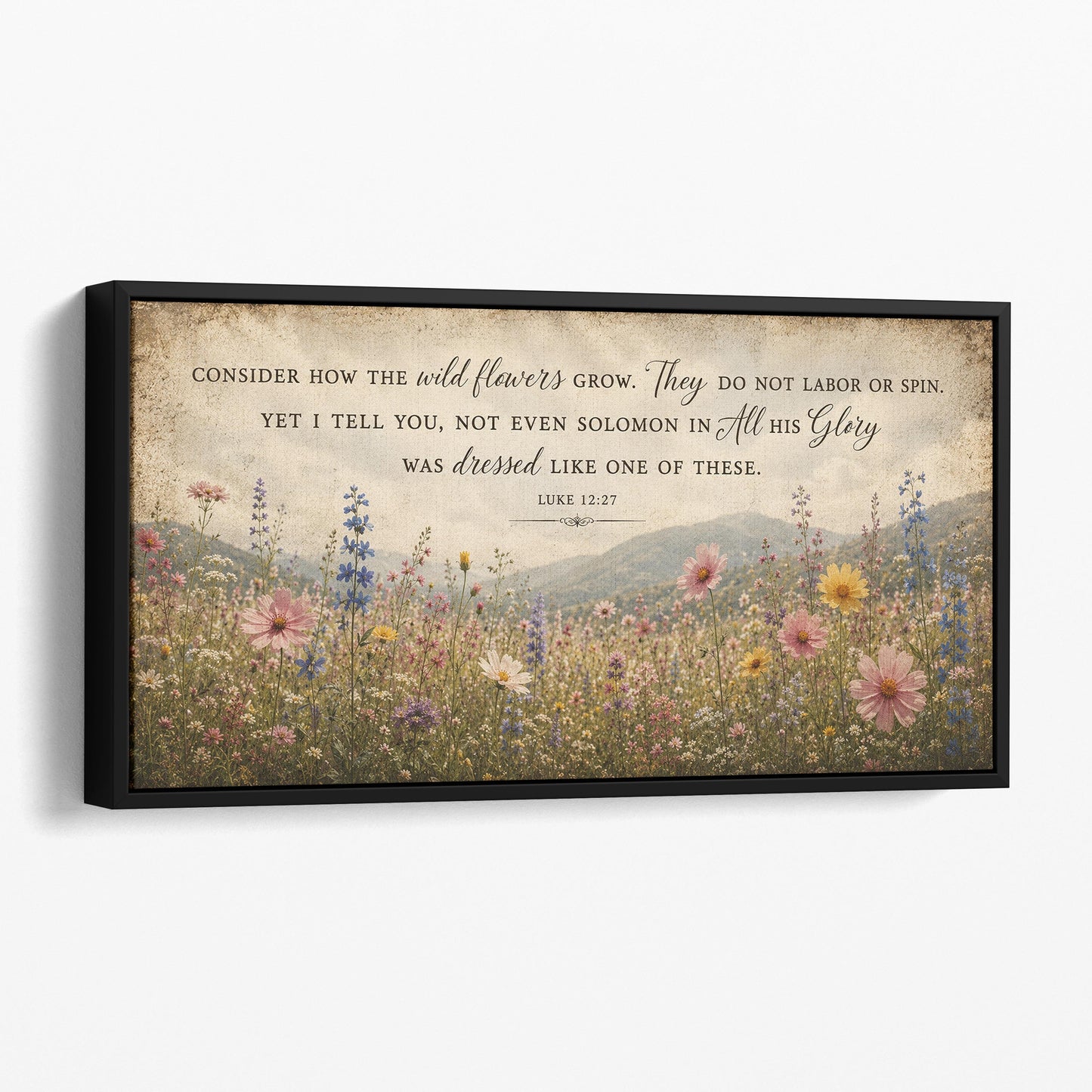 Consider How The Wildflowers Grow - Luke 12:27