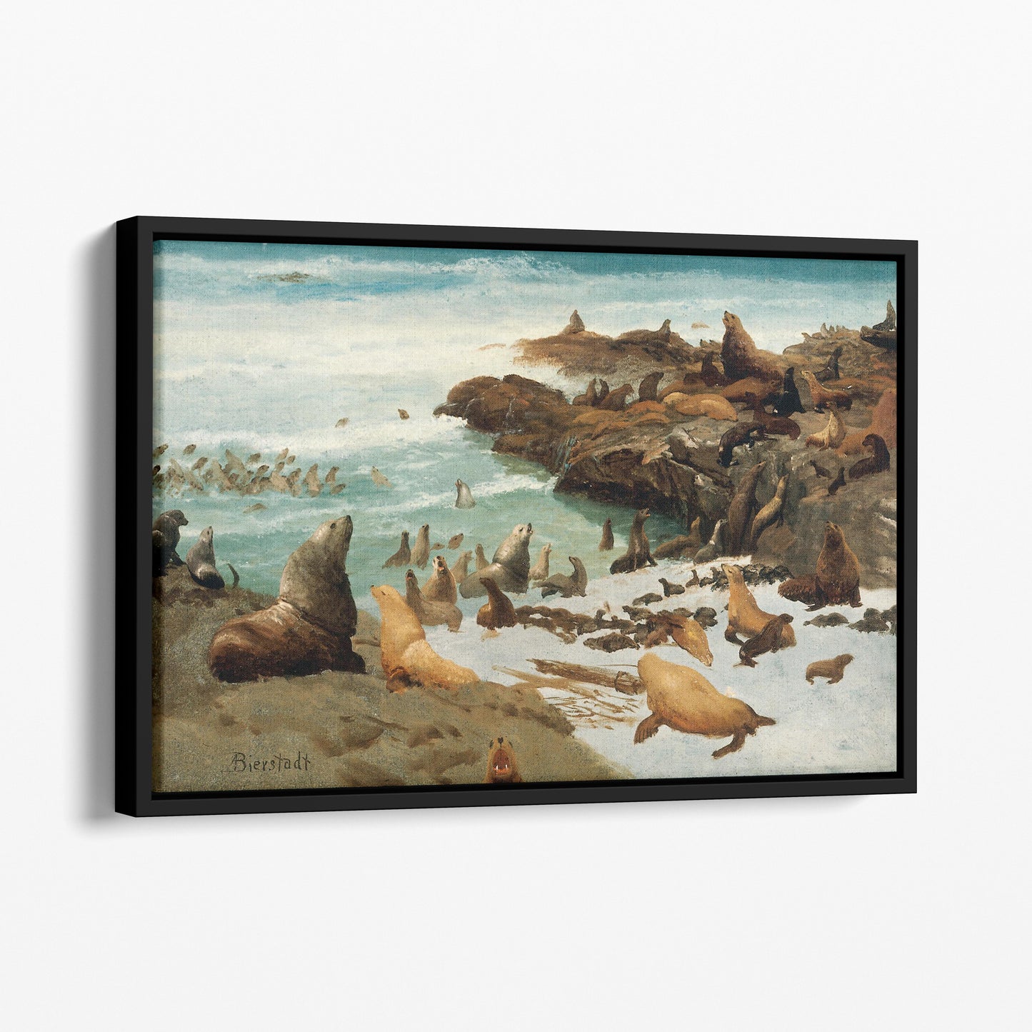 Seal Rocks, Farallons 1872 by Albert Bierstadt