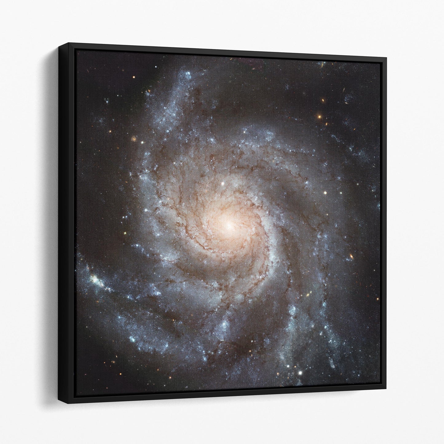 Spiral Galaxy - Messier 101 (Pinwheel Galaxy)