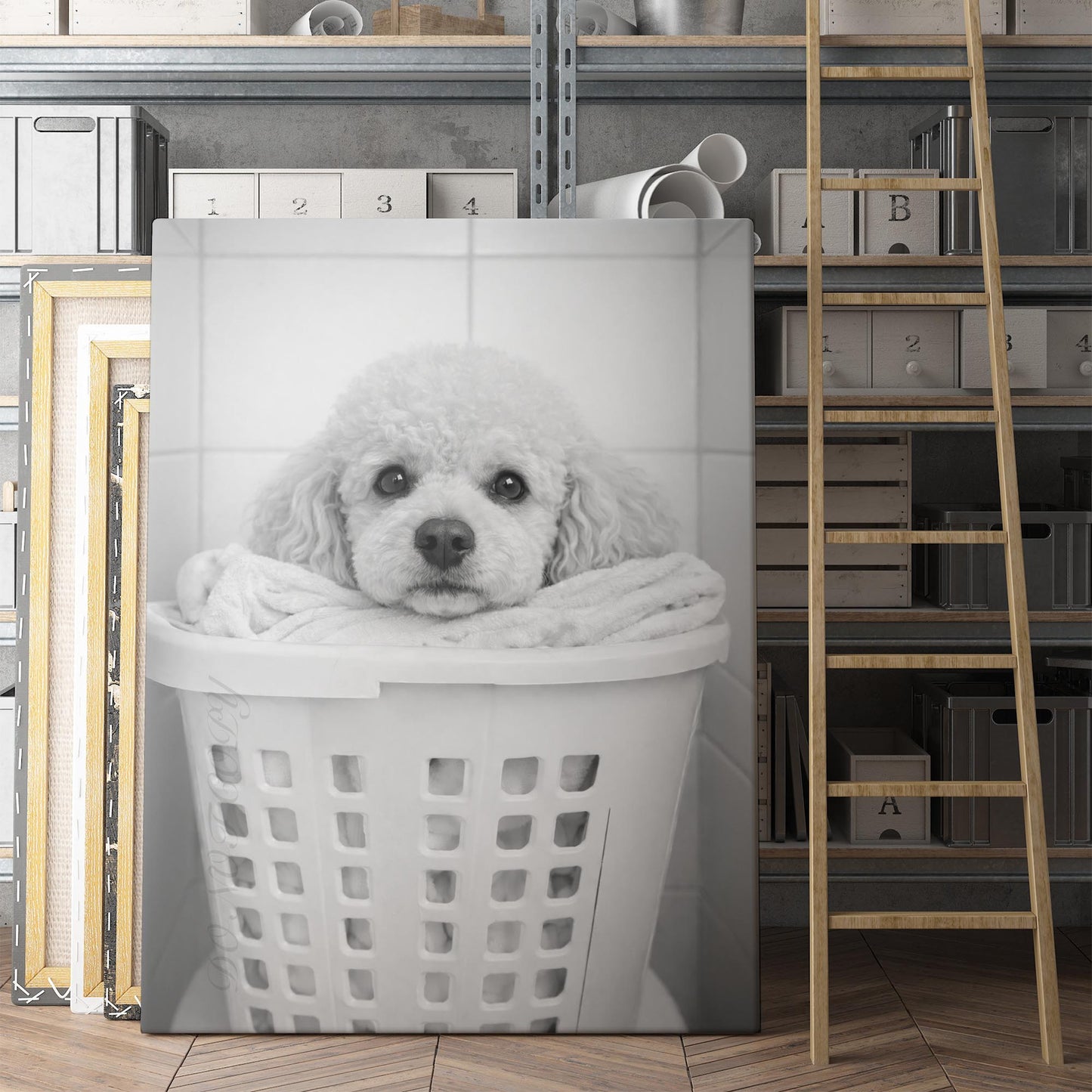 Poodle Dog Laundry