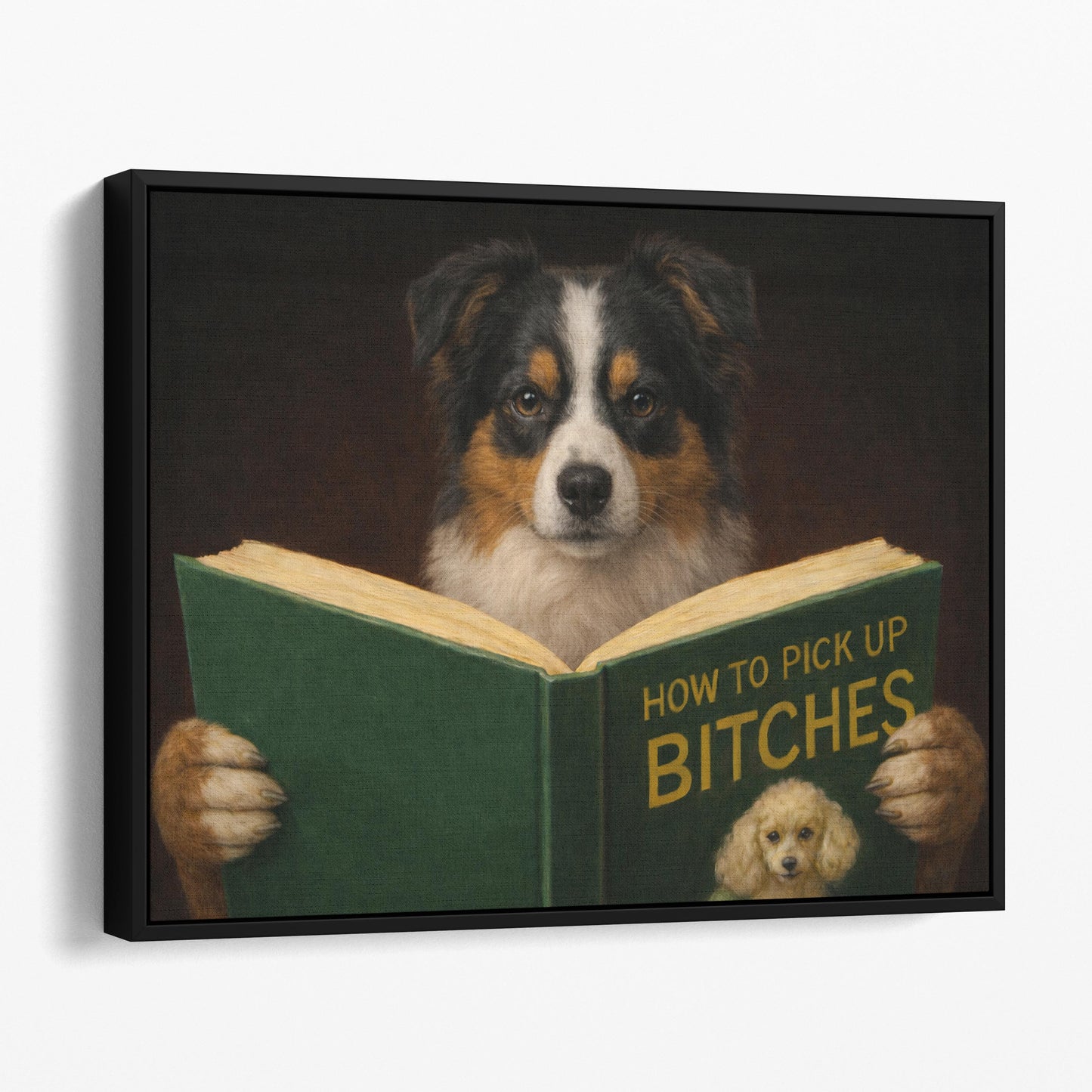 Miniature American Shepherd Reading Dog Dating Book