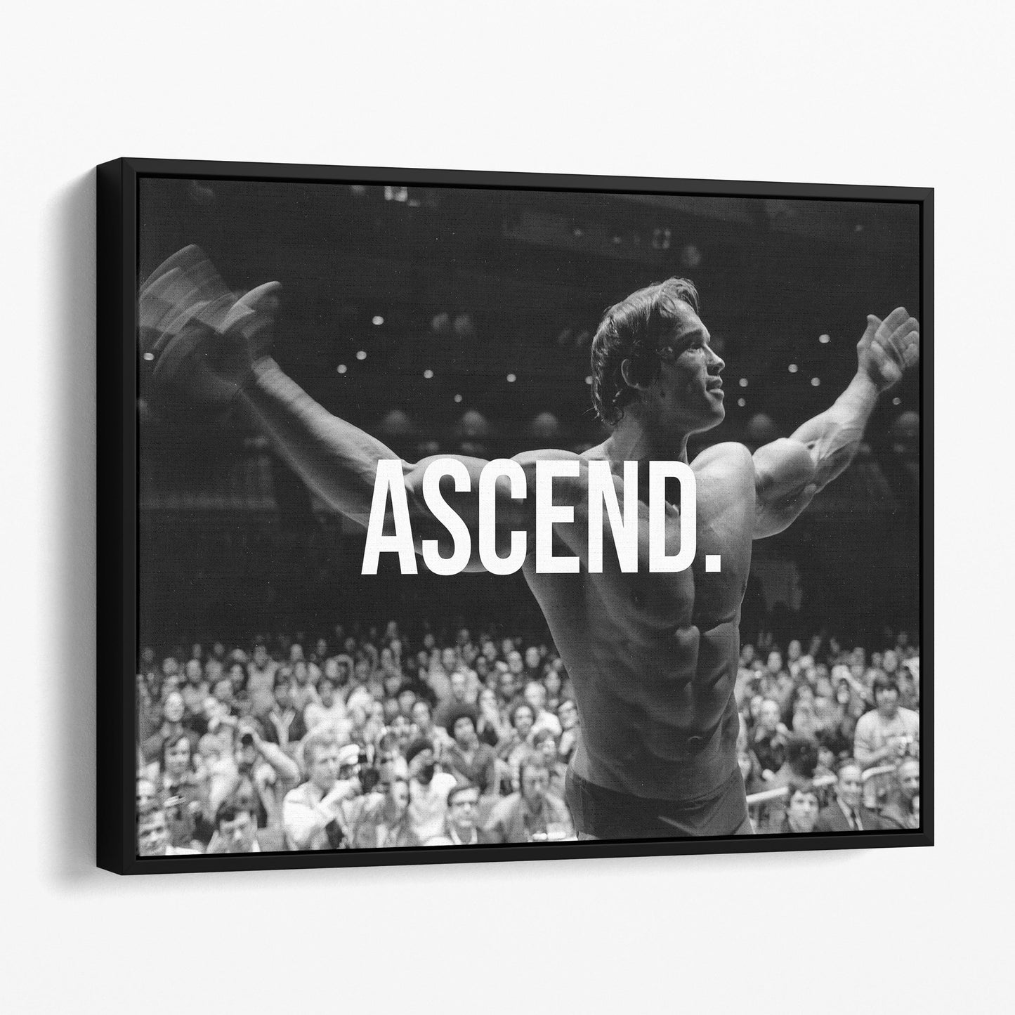 Arnold Schwarzenegger Ascend