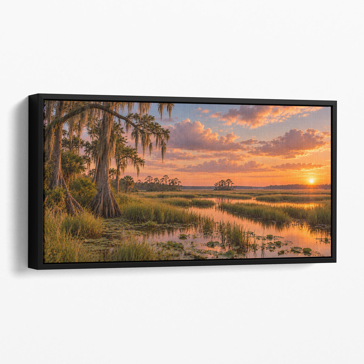 Everglades Florida