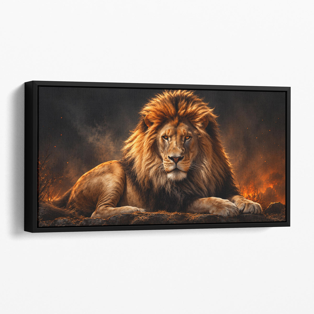 Lion, King of the Jungle