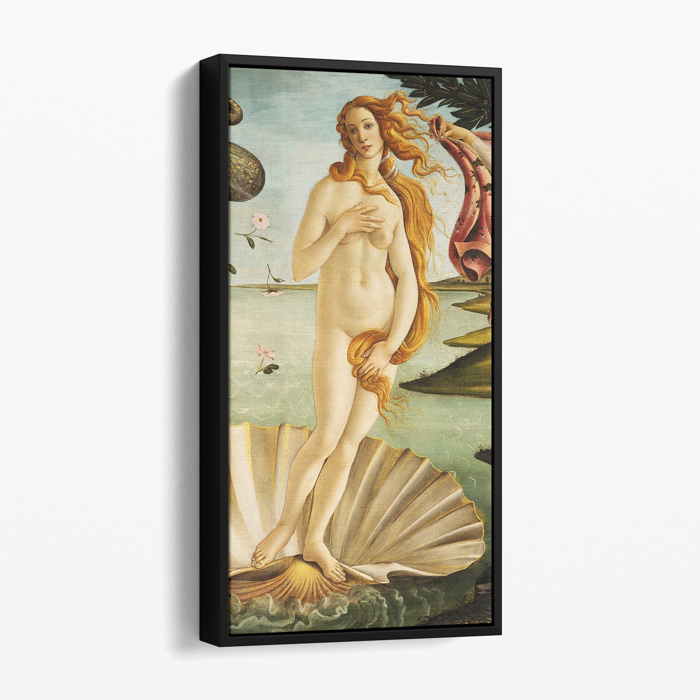 The Birth of Venus - Botticelli