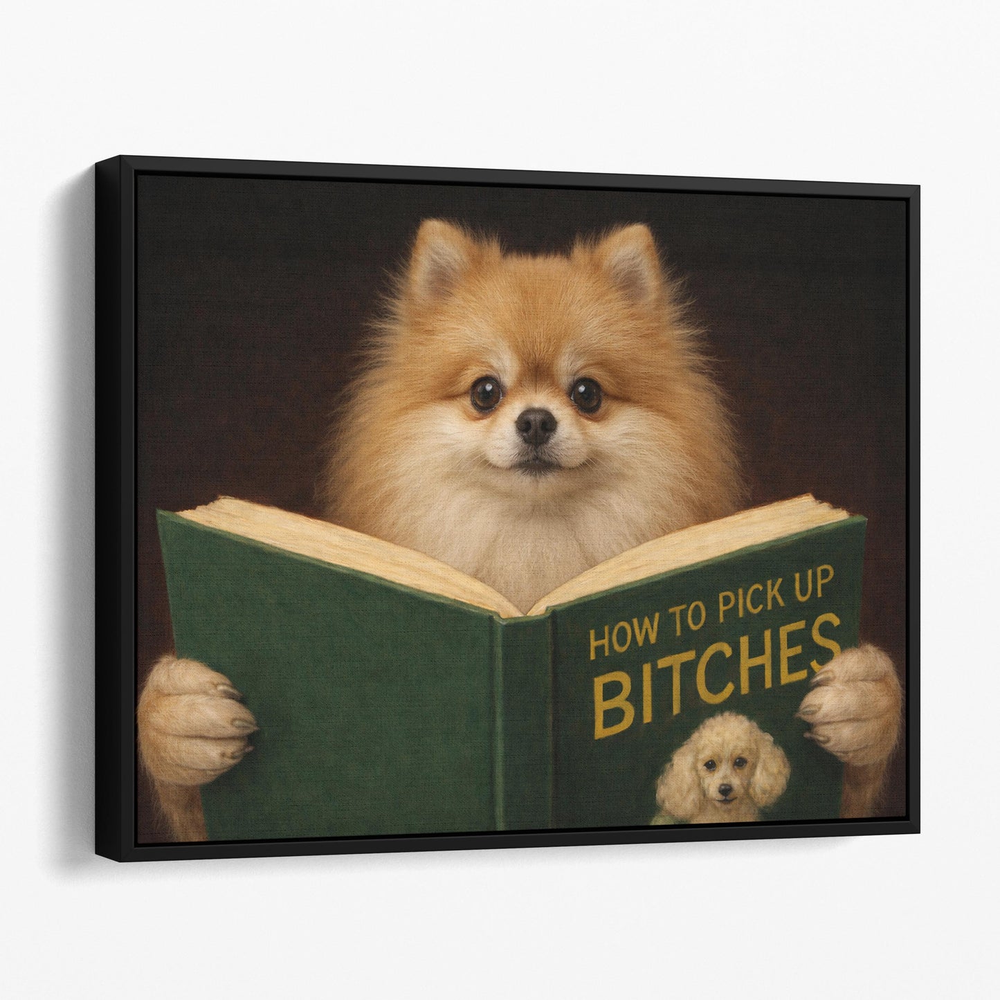 Pomeranian Reading Dog Dating Book