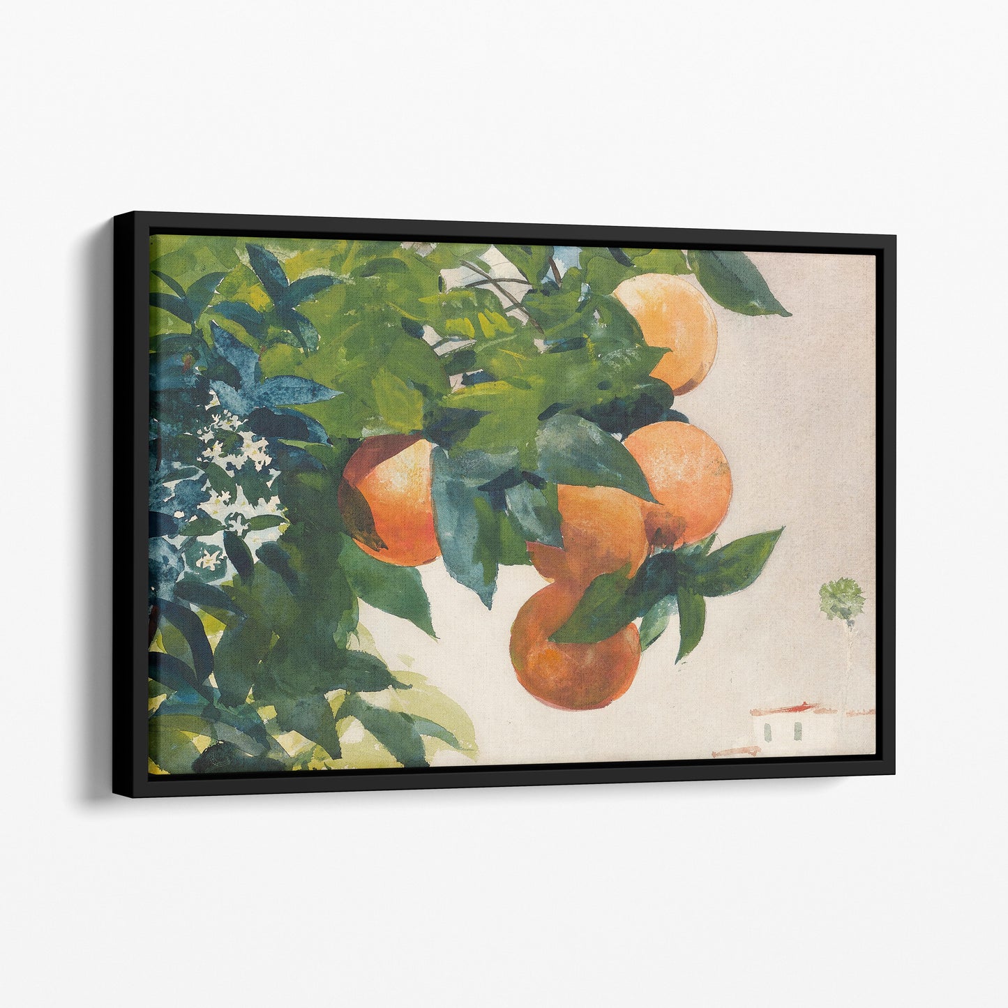 Oranges on a Branch, 1885 - Winslow Homer