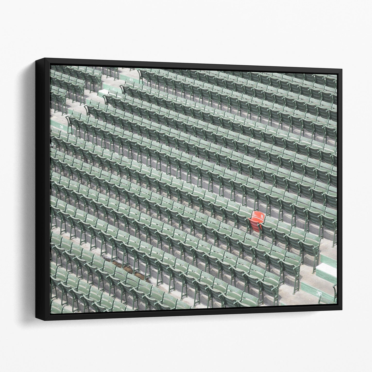 The Lone Red Seat, Fenway Park Boston