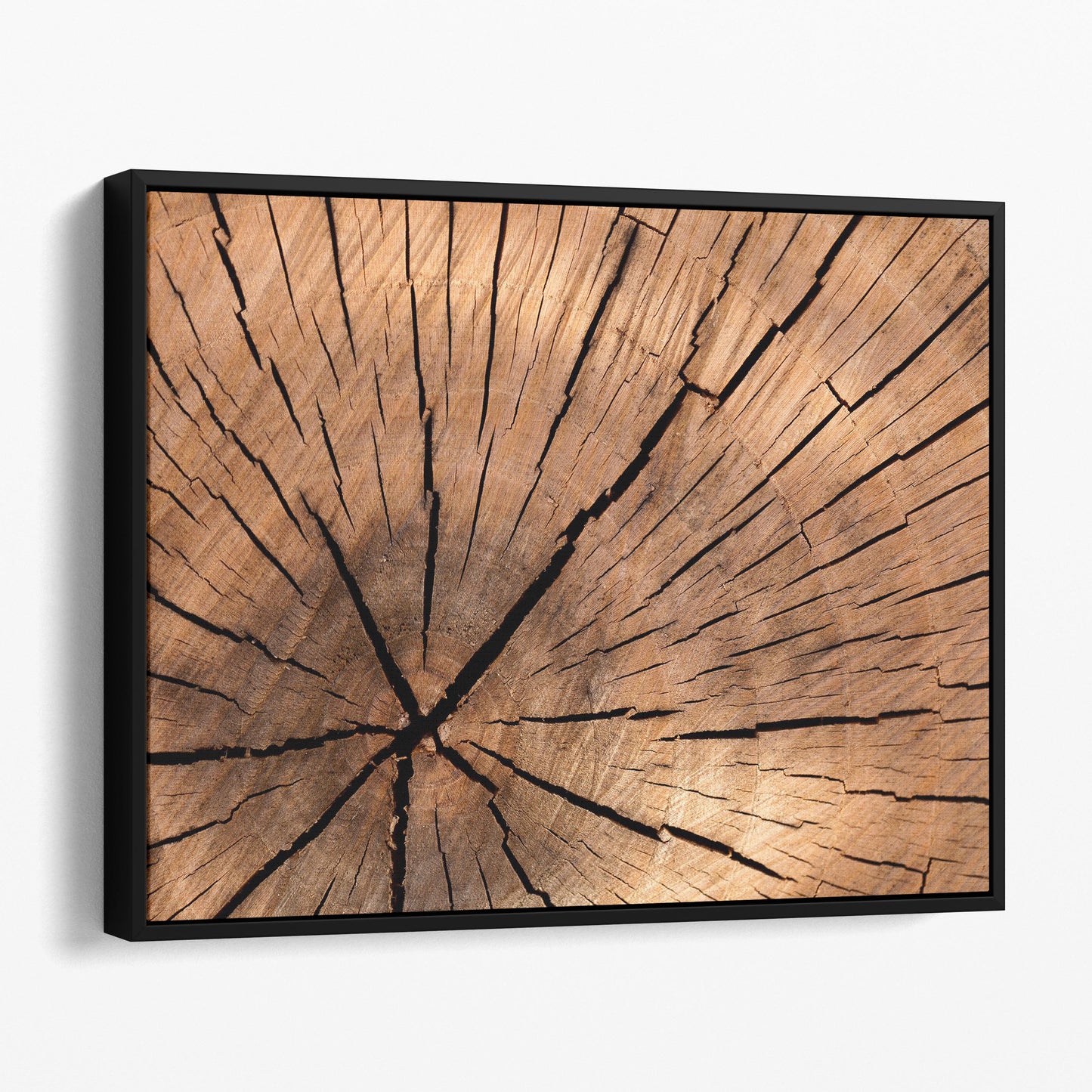 Tree Stump Rings