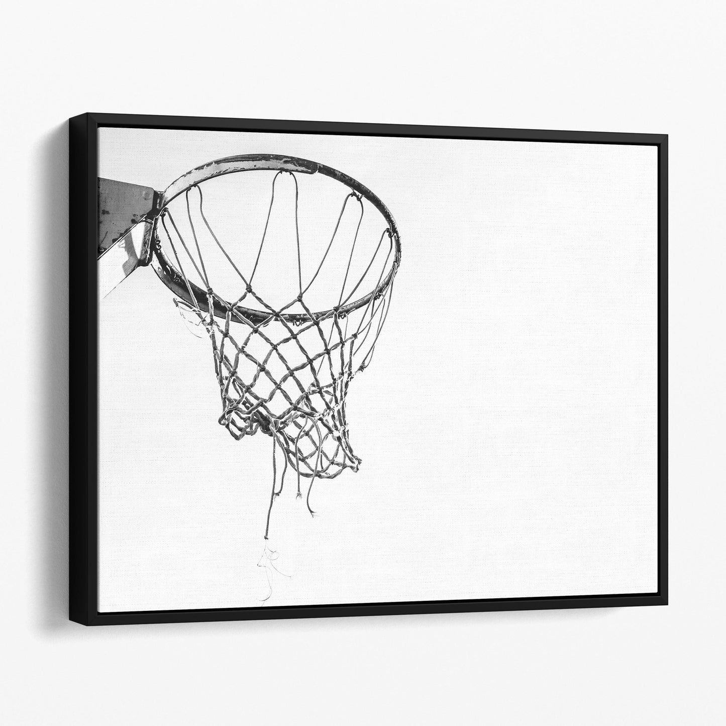 Basketball Net
