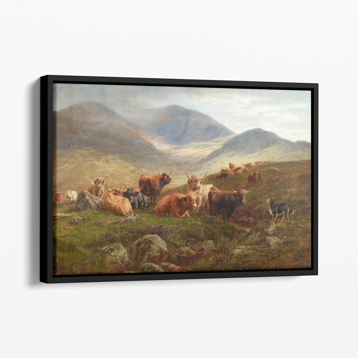 Highland Cattle, 1888 - John Falconer Slater