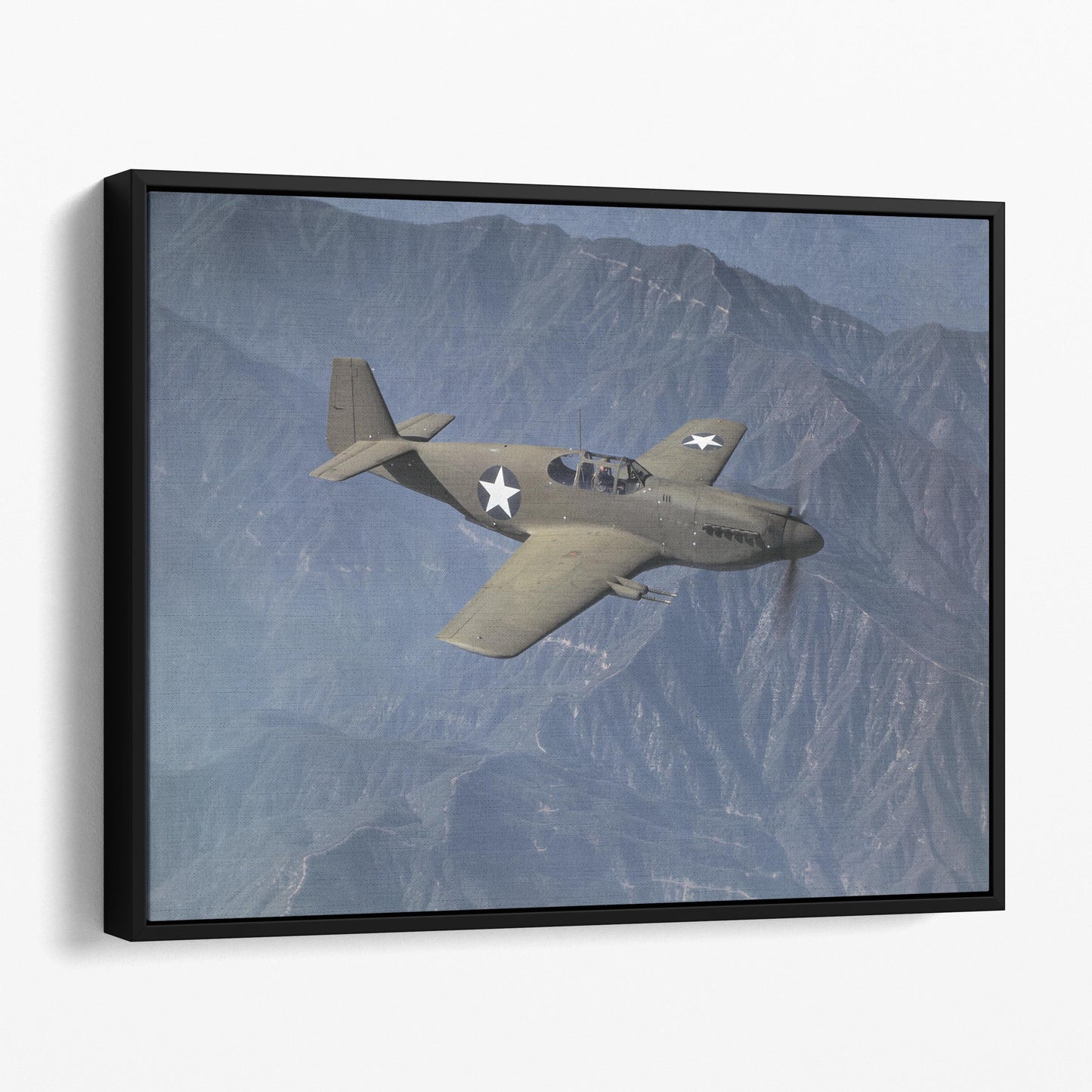 P51 Mustang Fighter Plane, World War Two