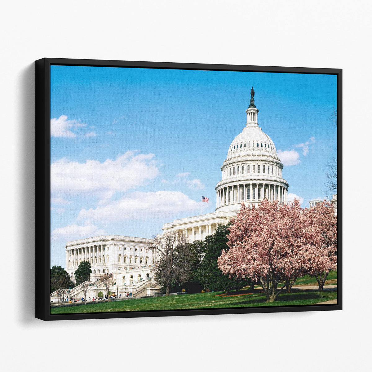 U.S. Capitol Building, Washington D.C.