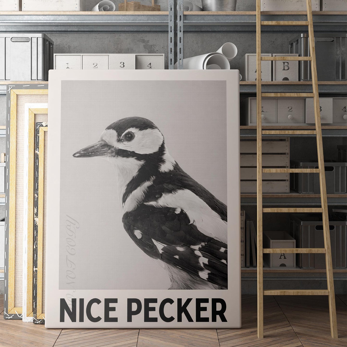 Nice Pecker - Birds Bathroom Sign