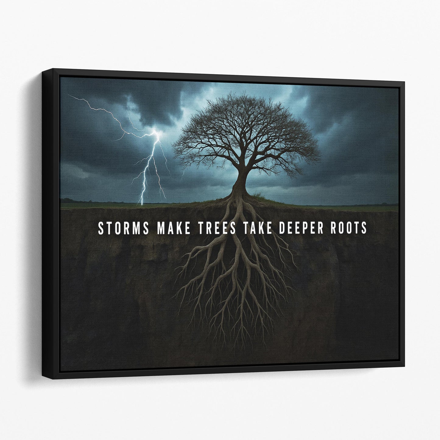 Storms Make Trees Take Deeper Roots