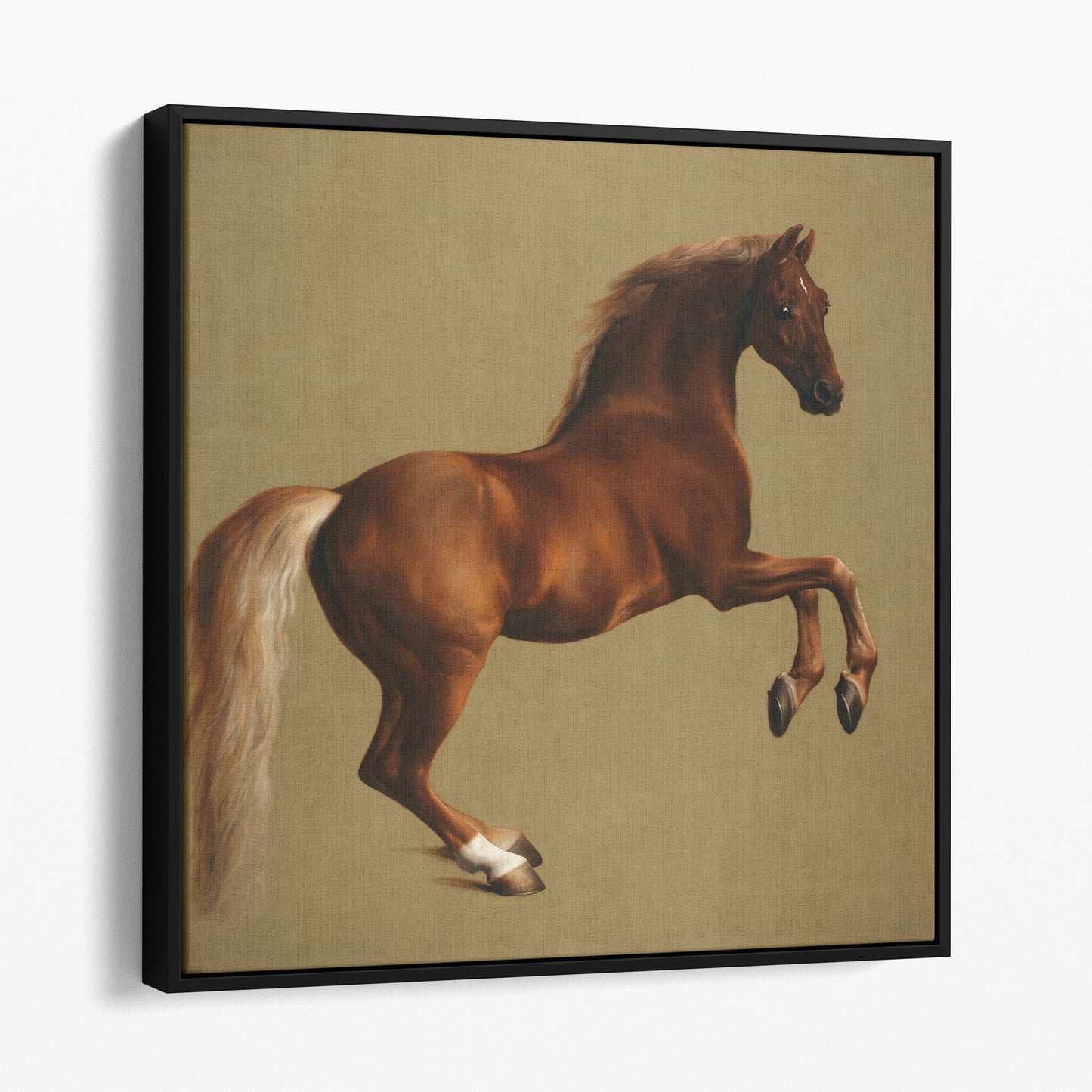 Whistlejacket by George Stubbs