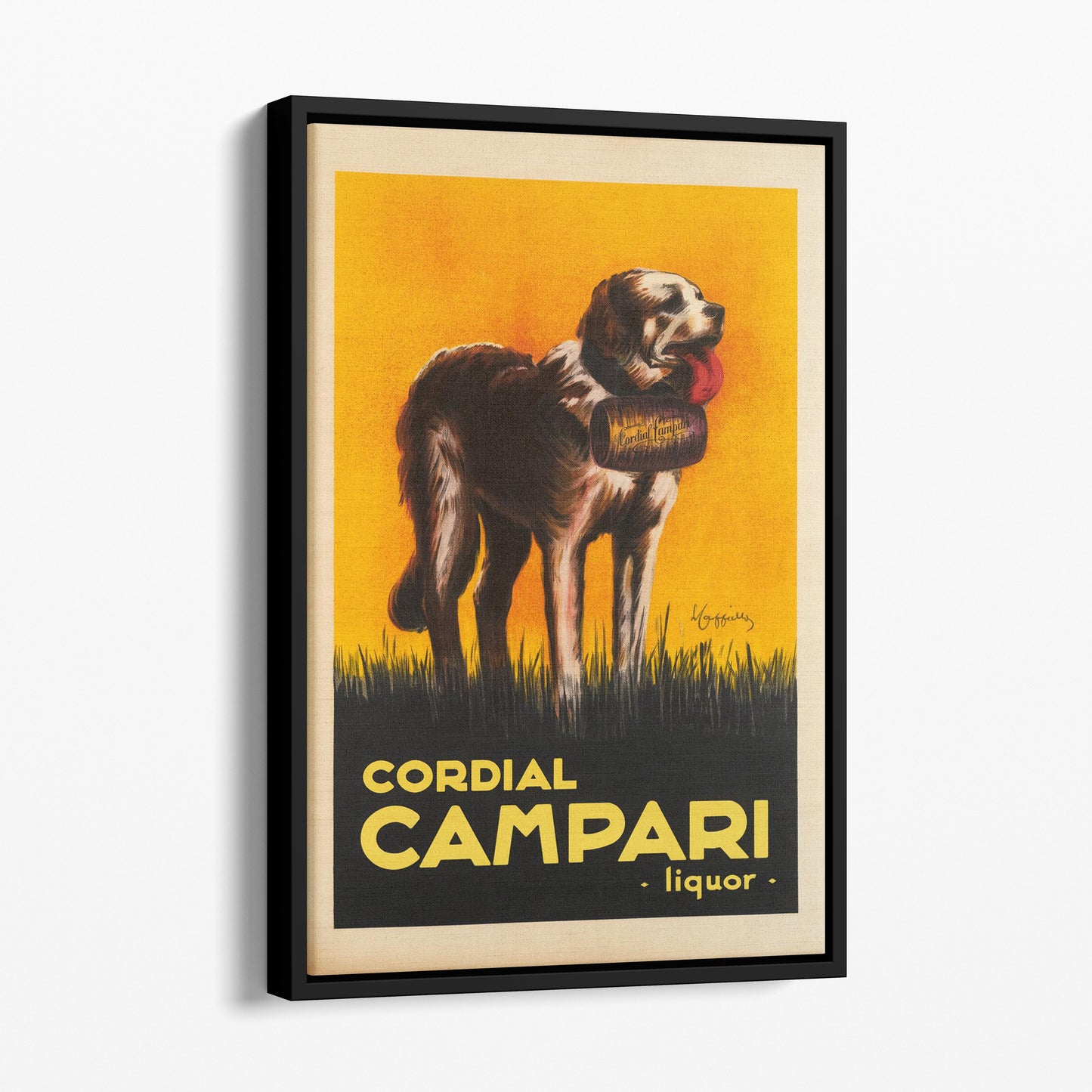 Cordial Campari Liquor Dog