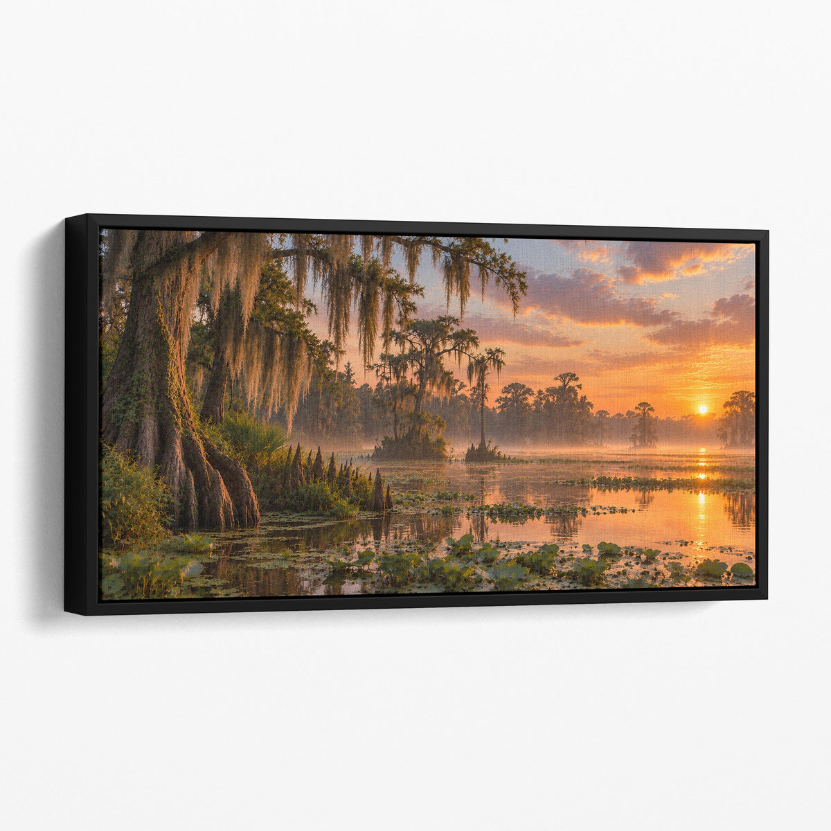 Louisiana Bayou
