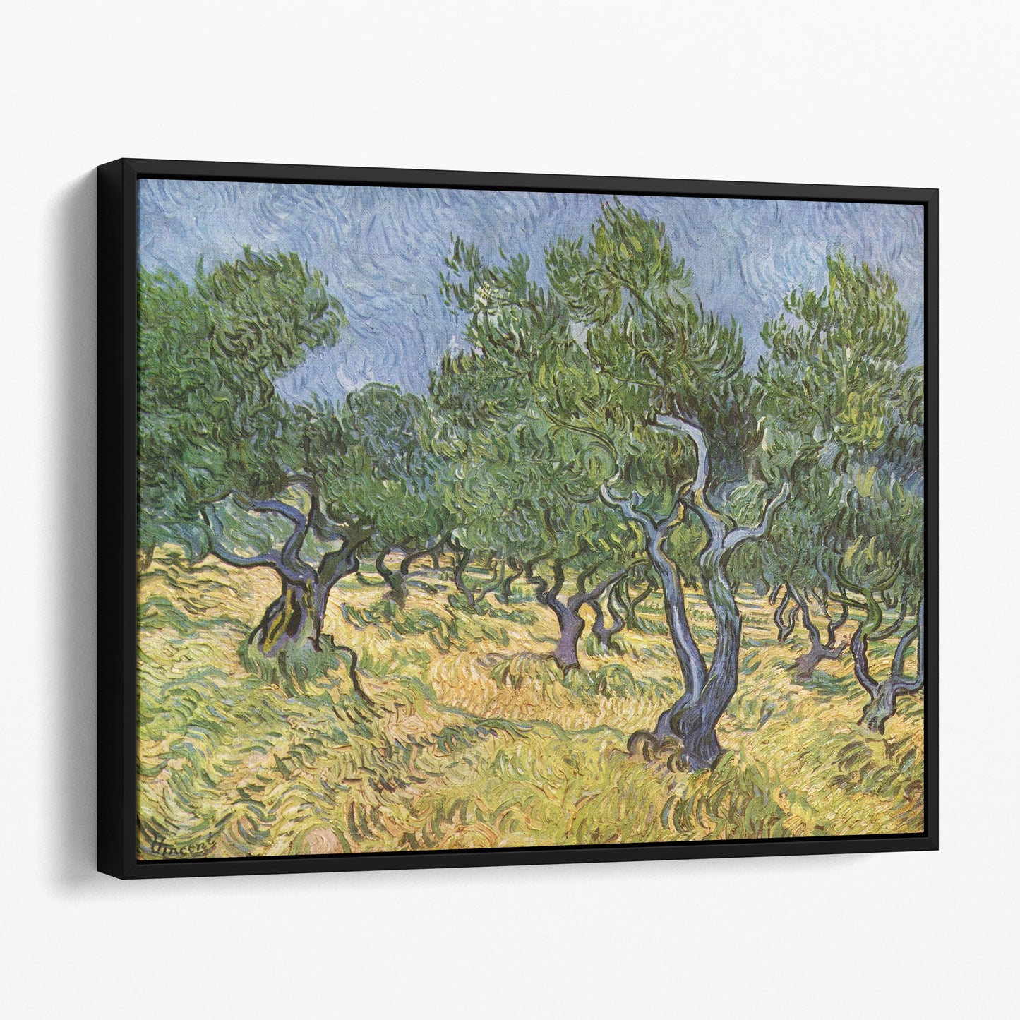The Olive Grove by Van Gogh