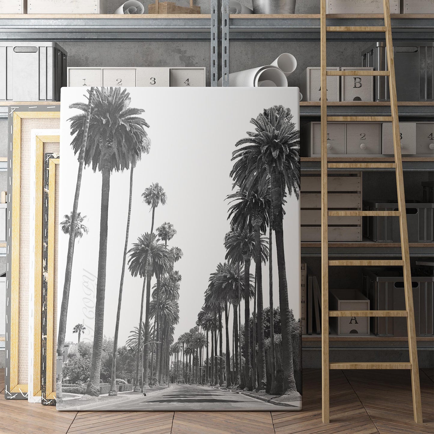 Los Angeles Palm Tree Streets
