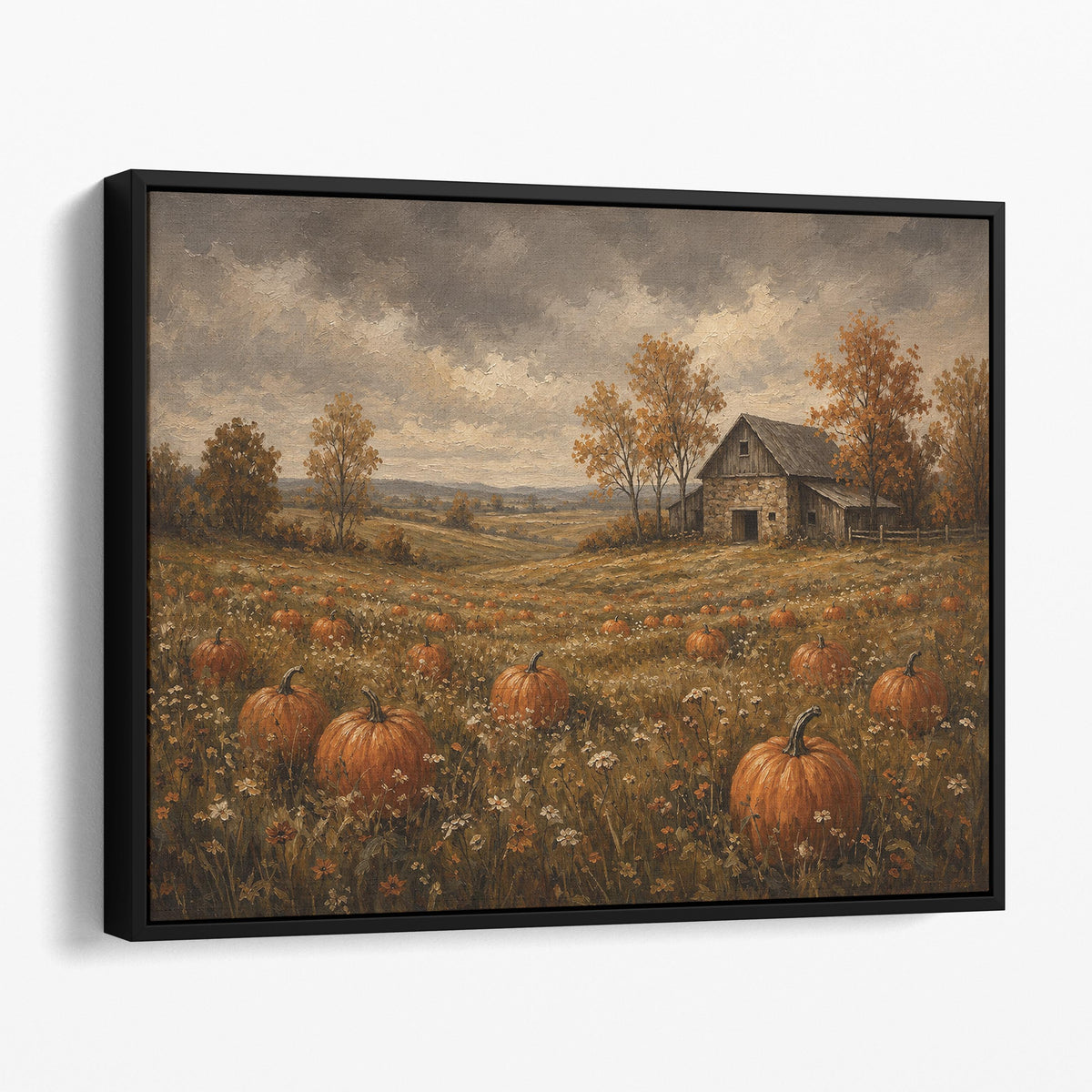 Pumpkin Patch Field