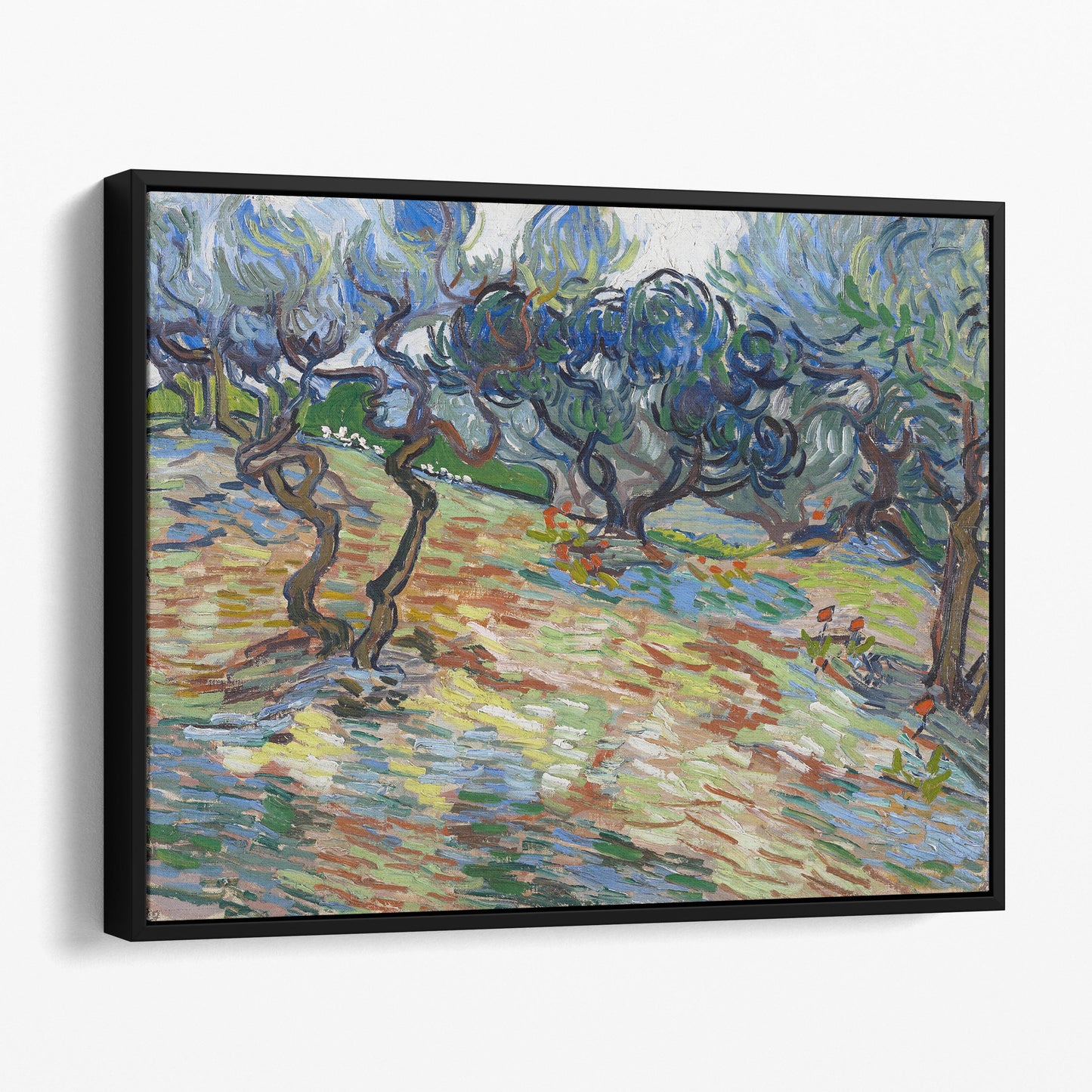 Olive Trees - Van Gogh