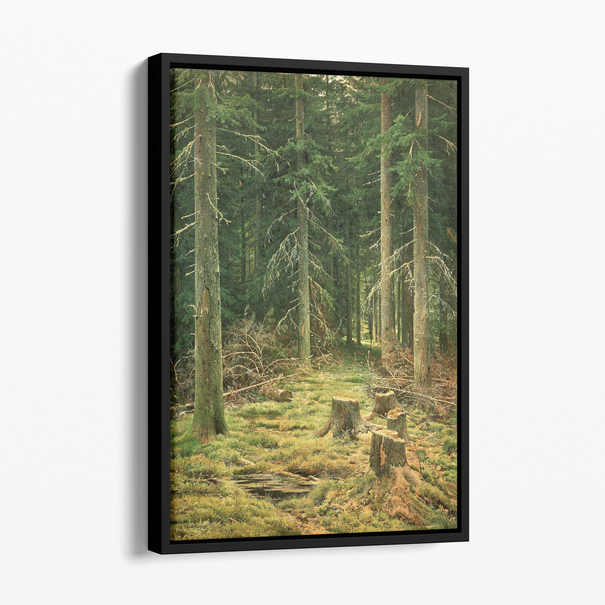 Coniferous Forest (1873) - Ivan Shishkin