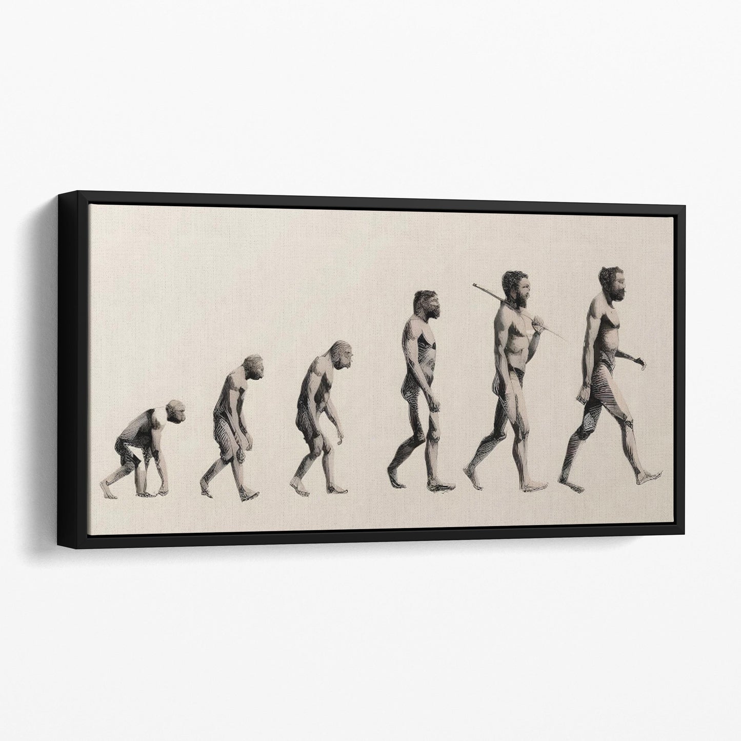 Progress of Human Evolution
