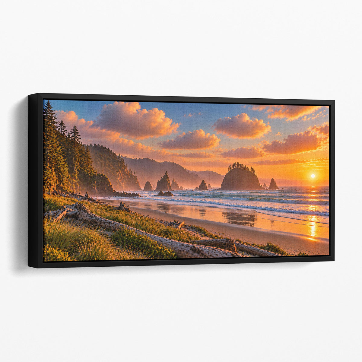 Olympic National Park, Washington Coast