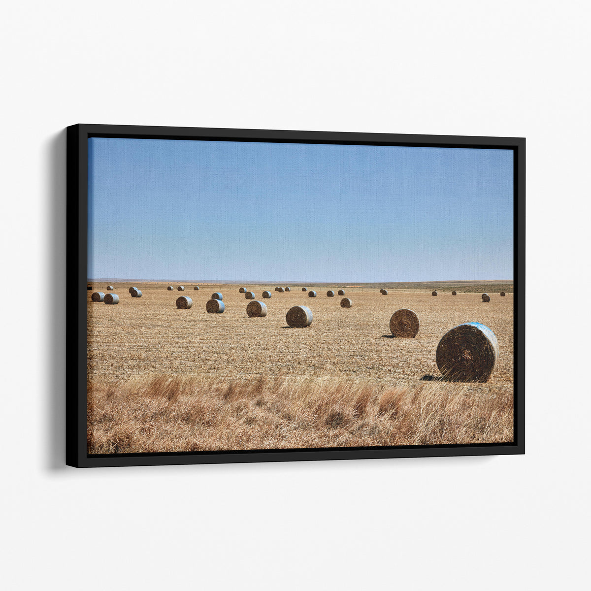 Hay Rolls Field