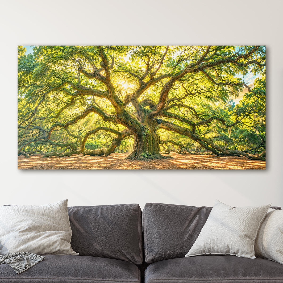 Angel Oak Tree, Charleston South Carolina
