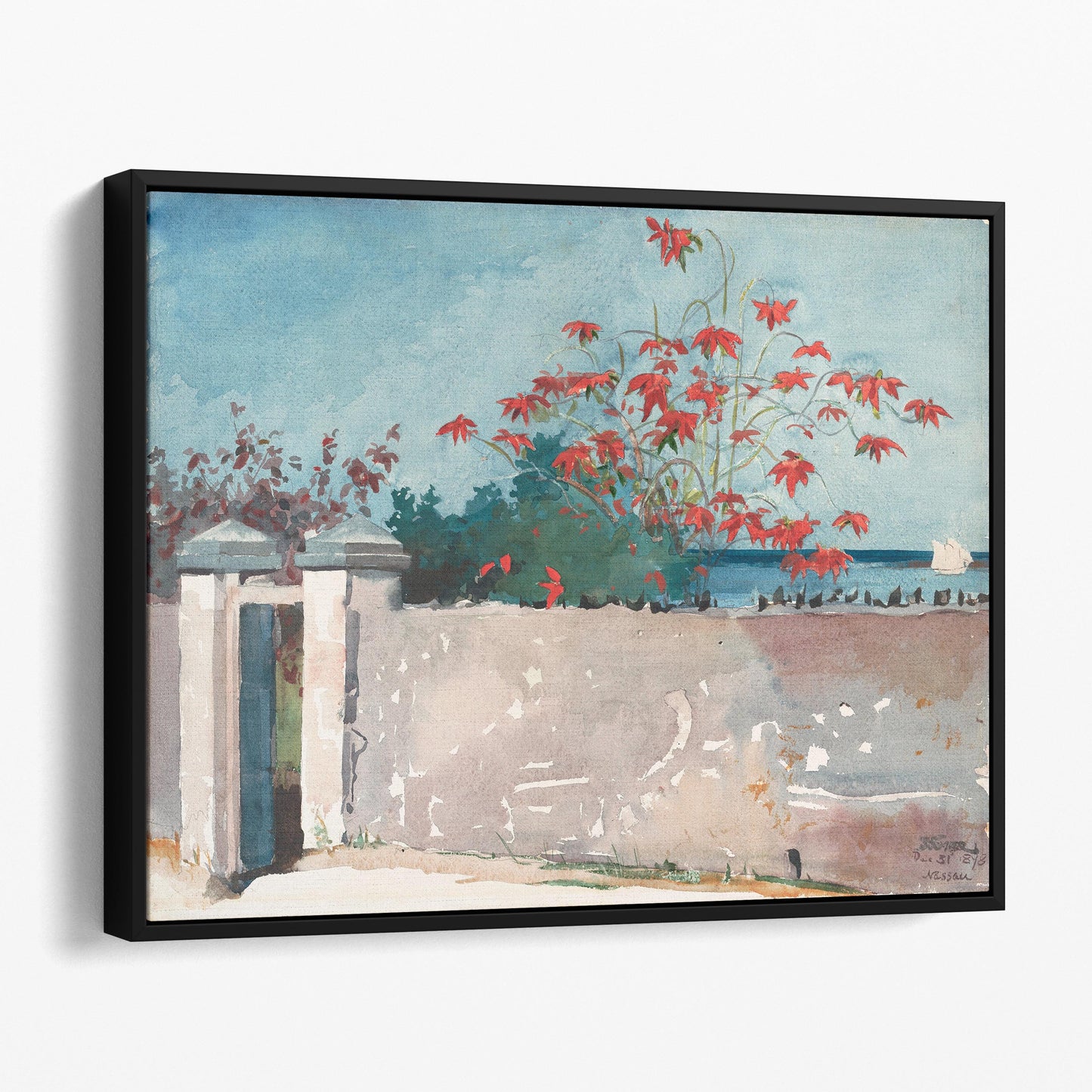 A Wall, Nassau by Winslow Homer