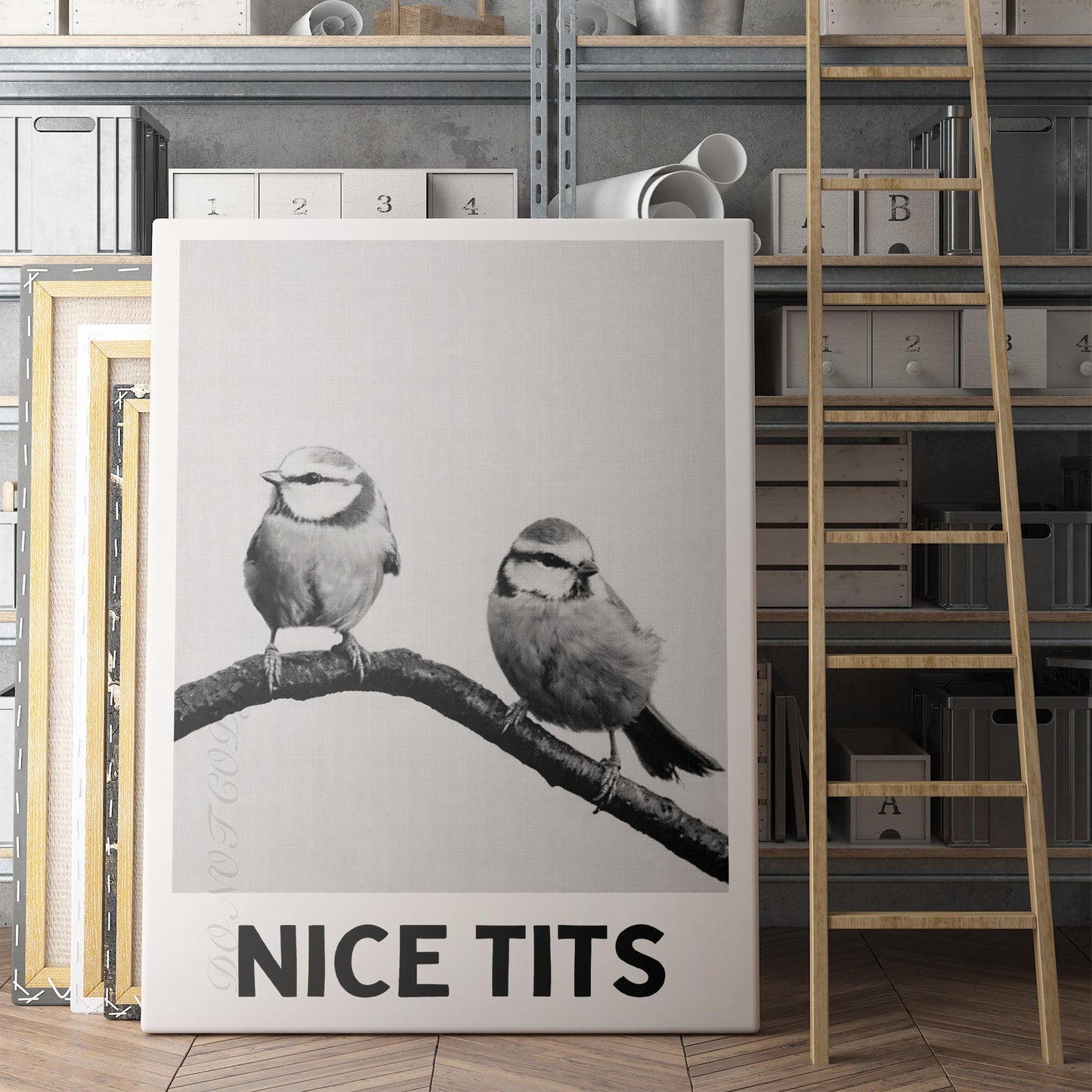 Nice Tits - Birds Bathroom Sign