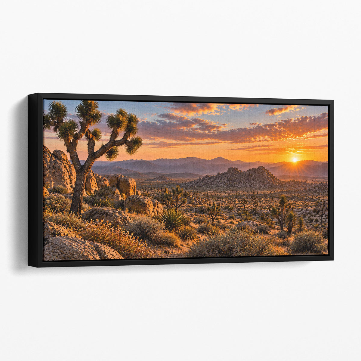 Joshua Tree