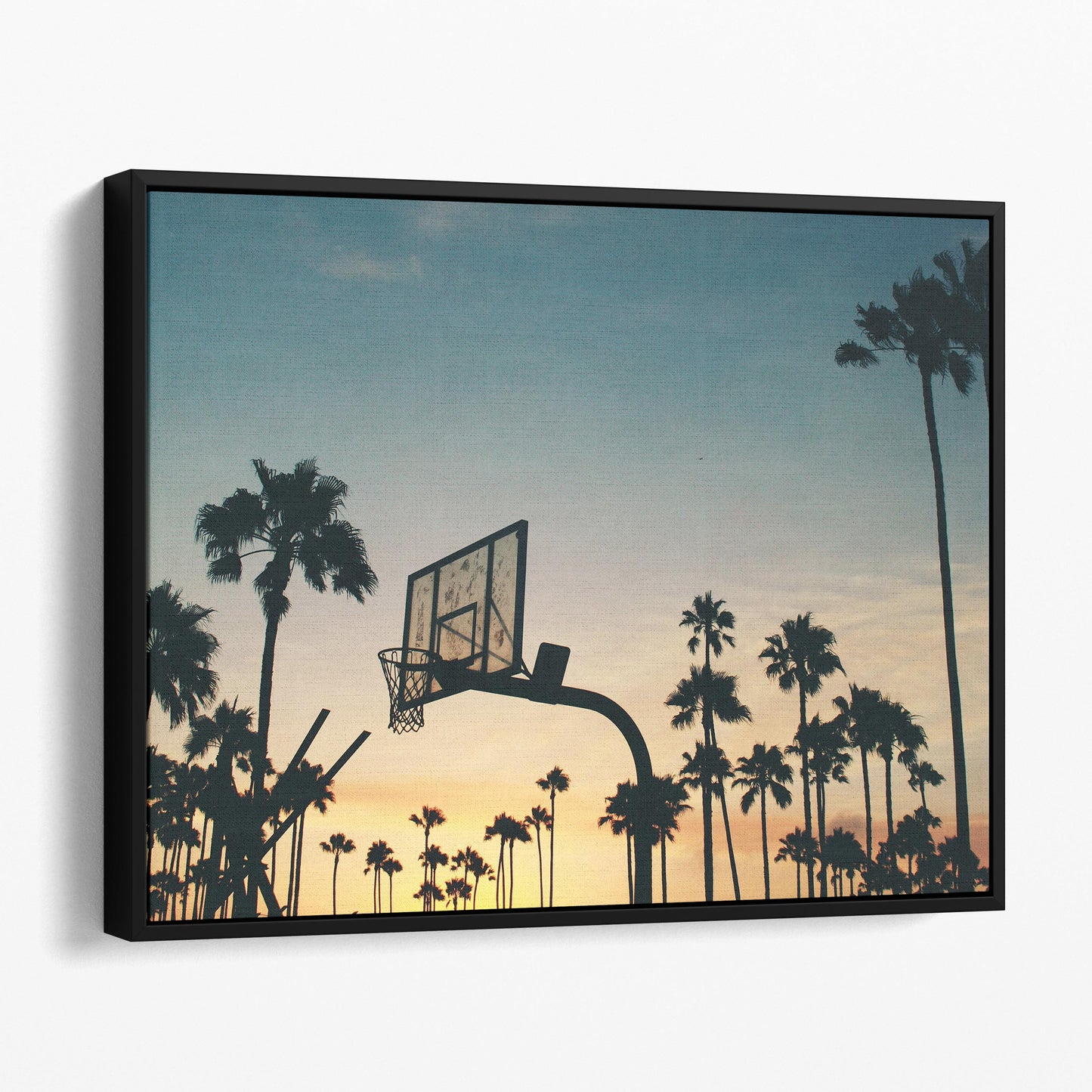 Basketball Sunset Palm Trees