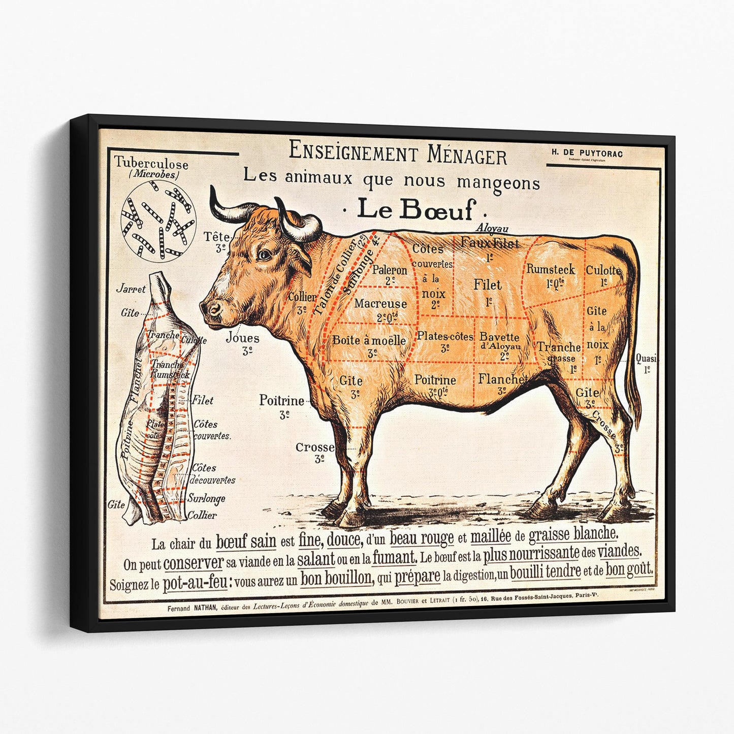 French School - Beef Diagram