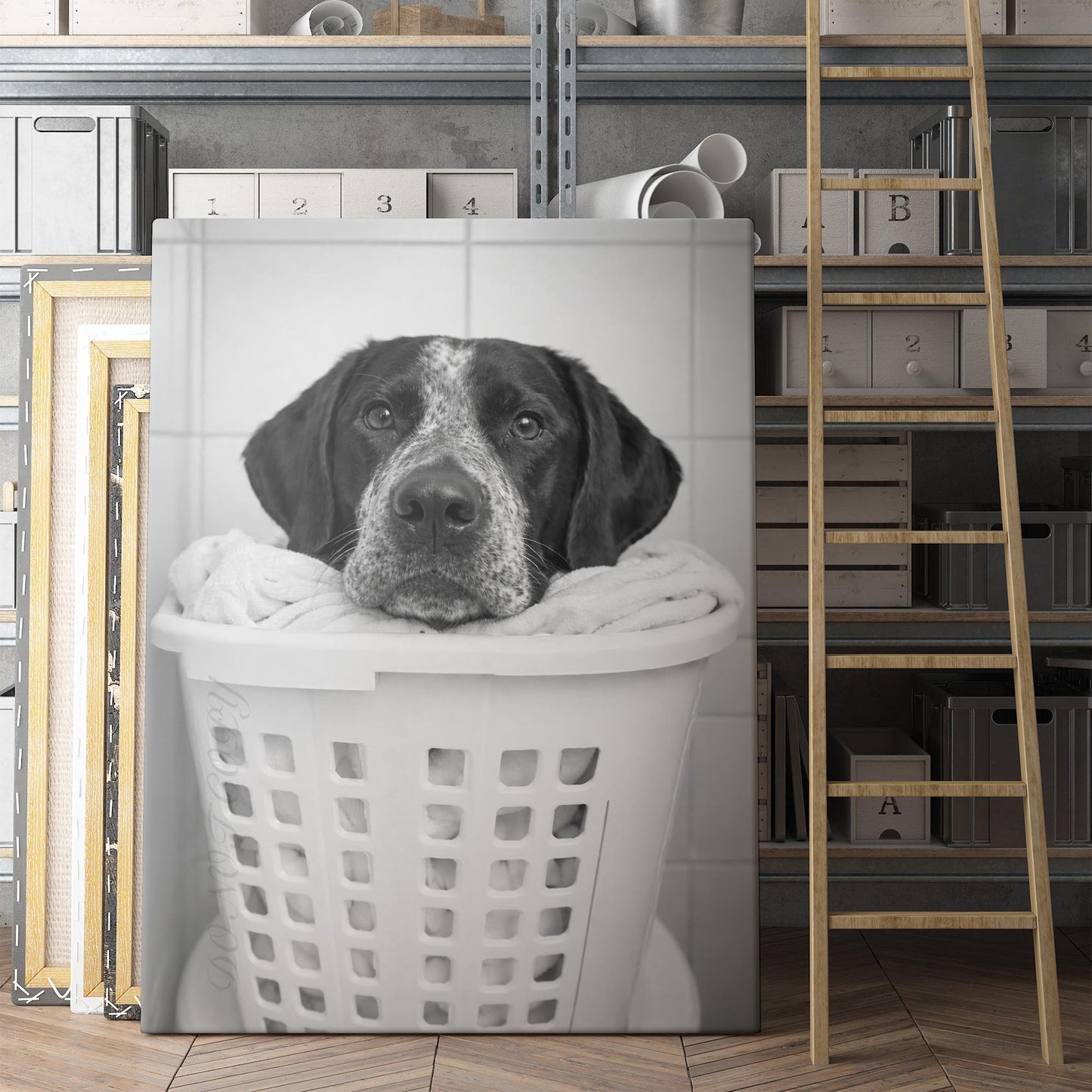 German Shorthaired Pointer Dog Laundry