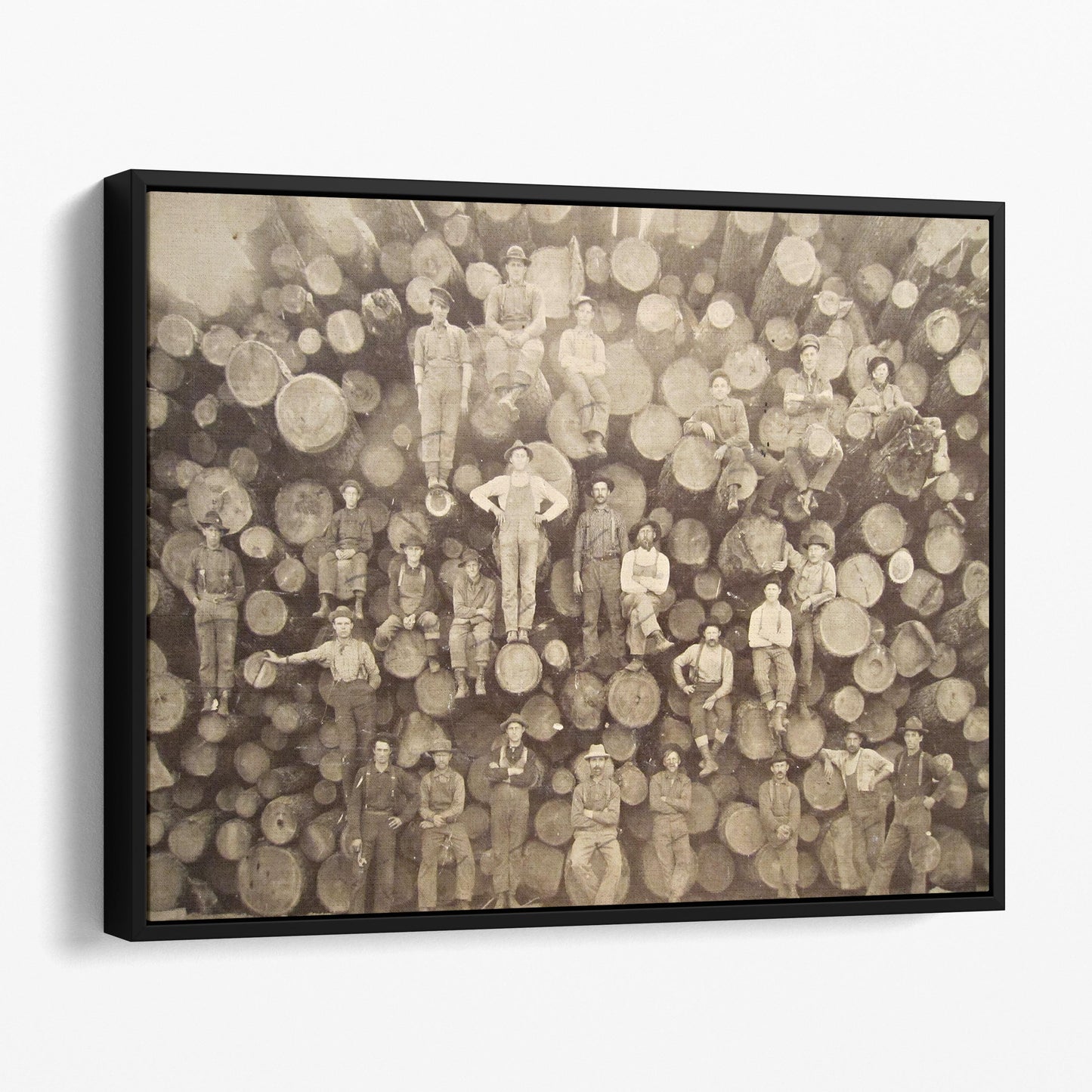 Lumberjacks Who Felled Big Trees Using Only Hand Tools II