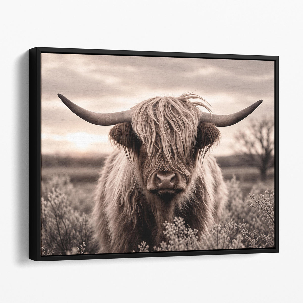 Sepia Highland Cow