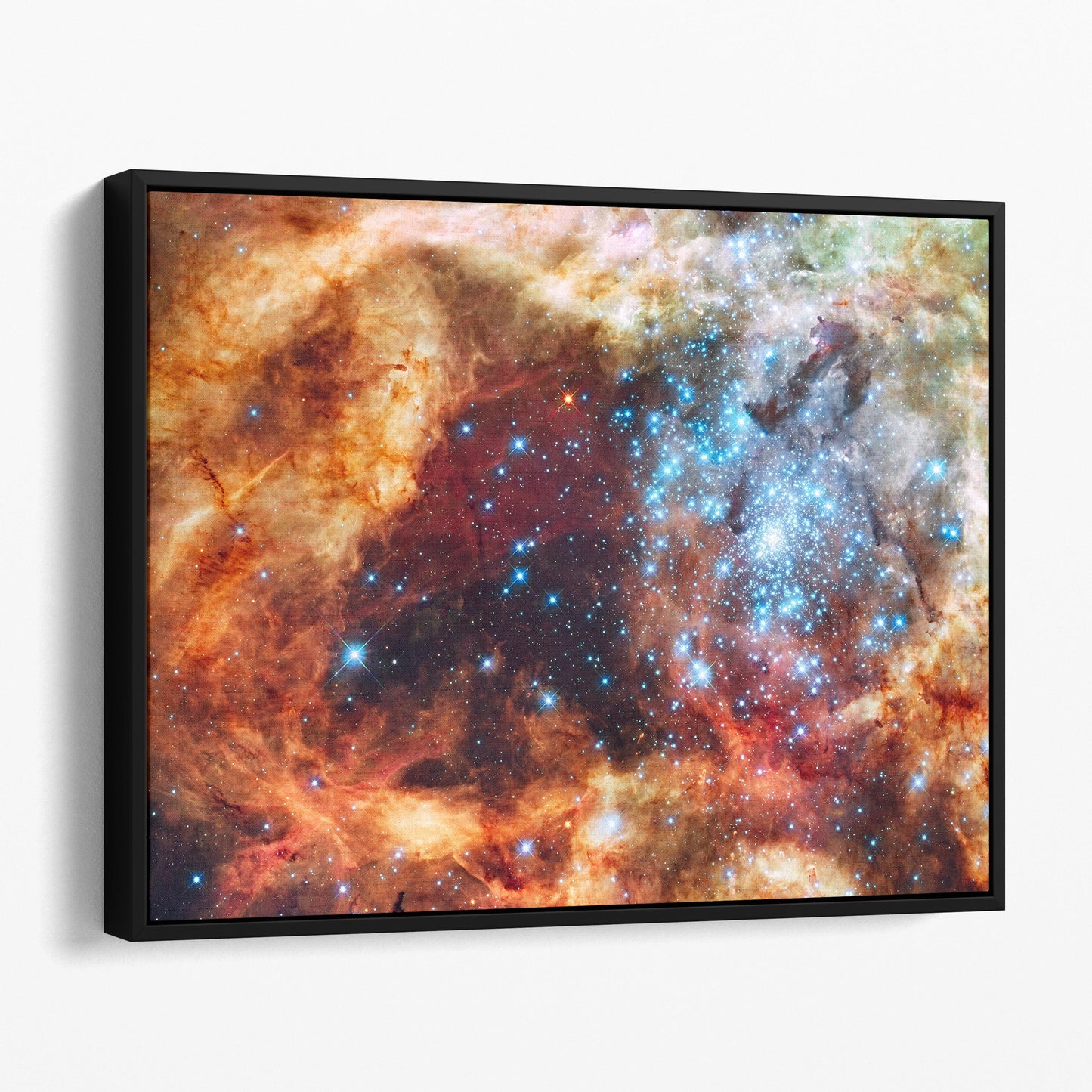 R136 Star Cluster (NASA Hubble Space Telescope)
