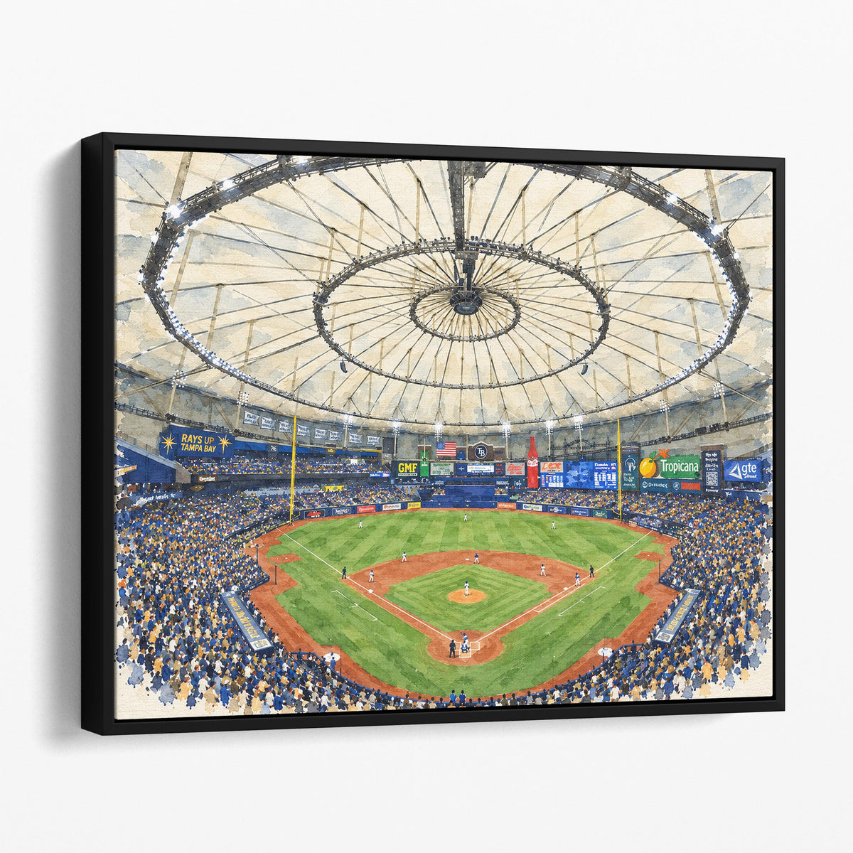 Tropicana Field, Tampa Bay