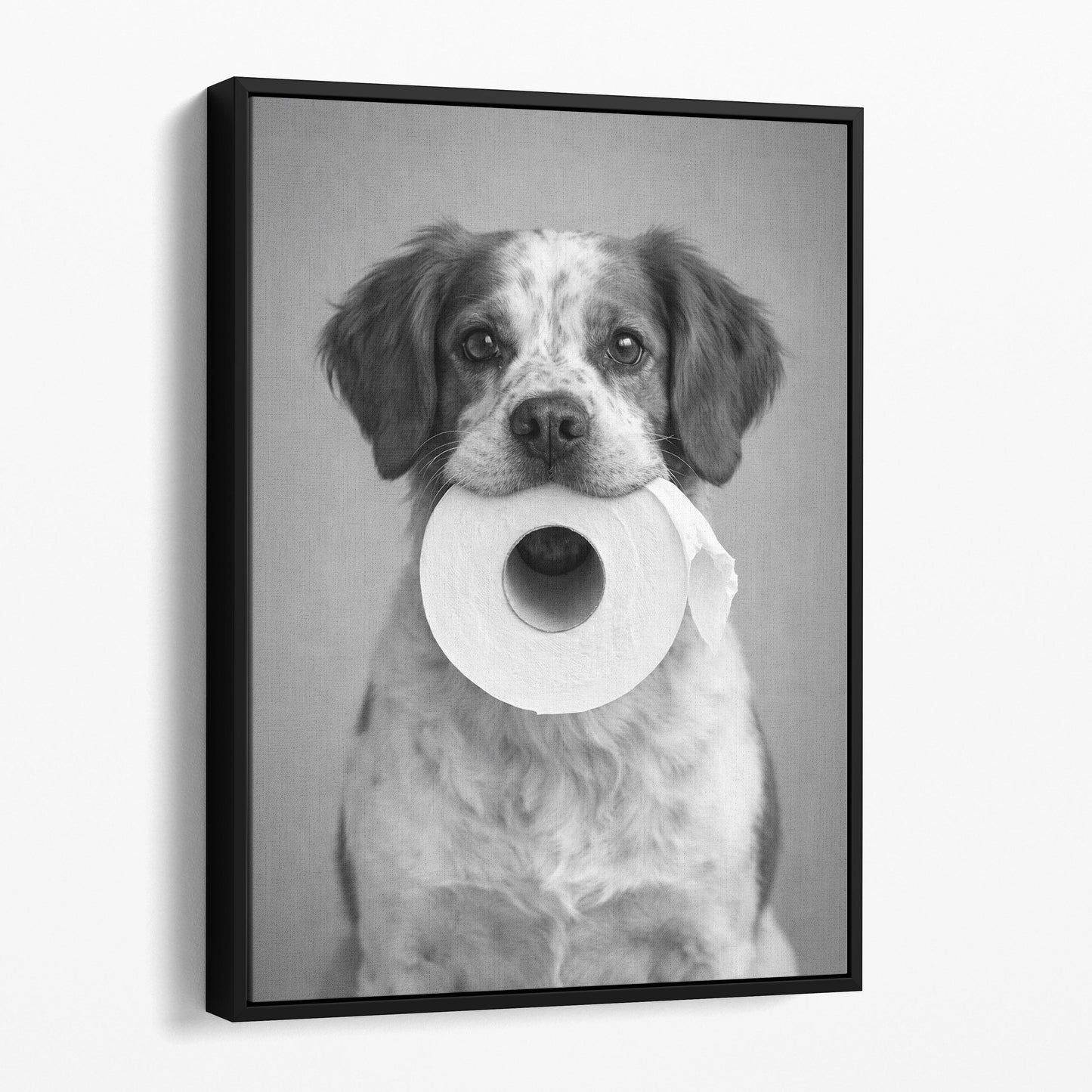 Brittany Dog Toilet Paper