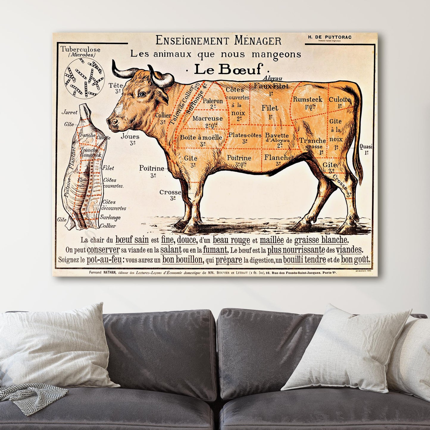 French School - Beef Diagram