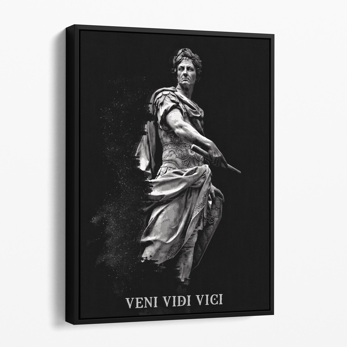 Julius Caesar I Came, I Saw, I Conqured - Veni, Vidi, Vici