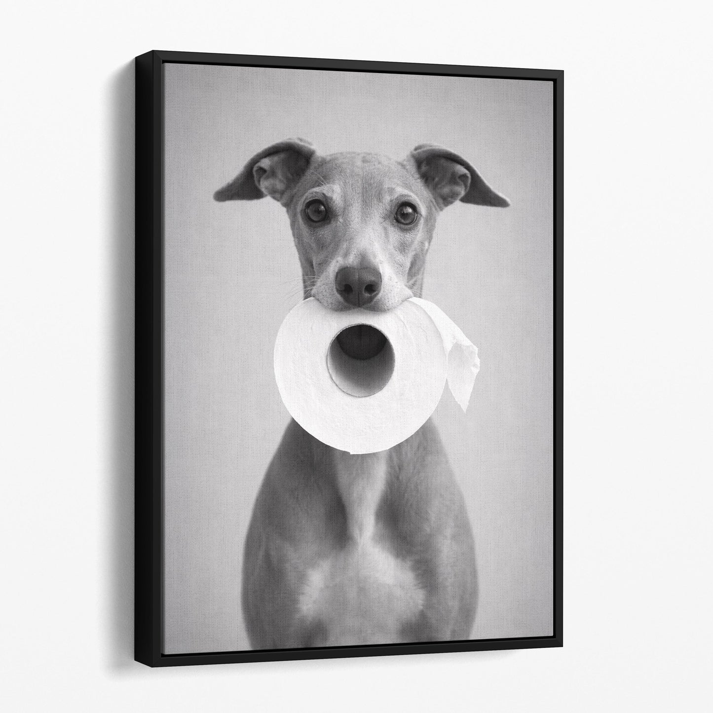 Italian Greyhound Dog Toilet Paper