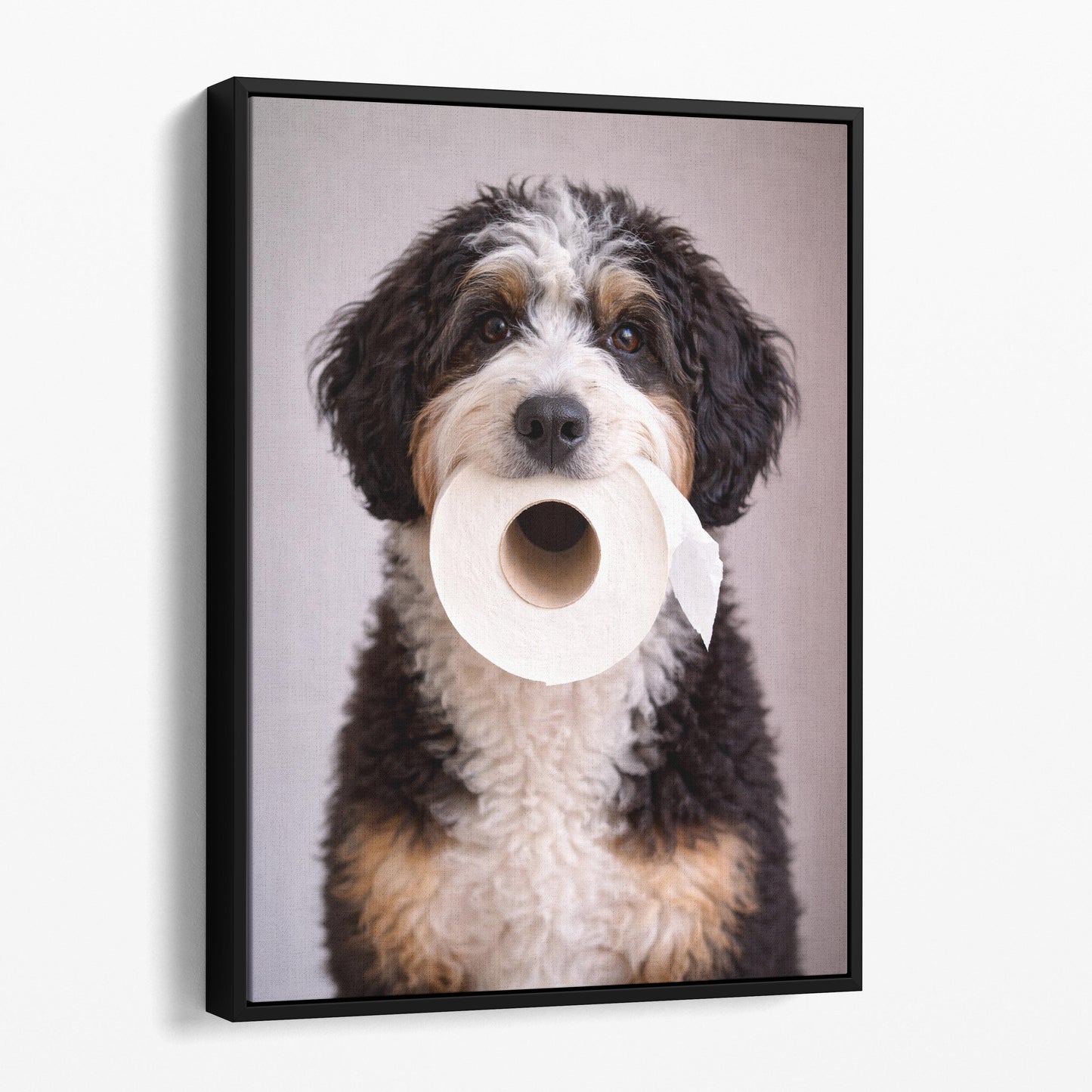 Bernedoodle Dog Toilet Paper