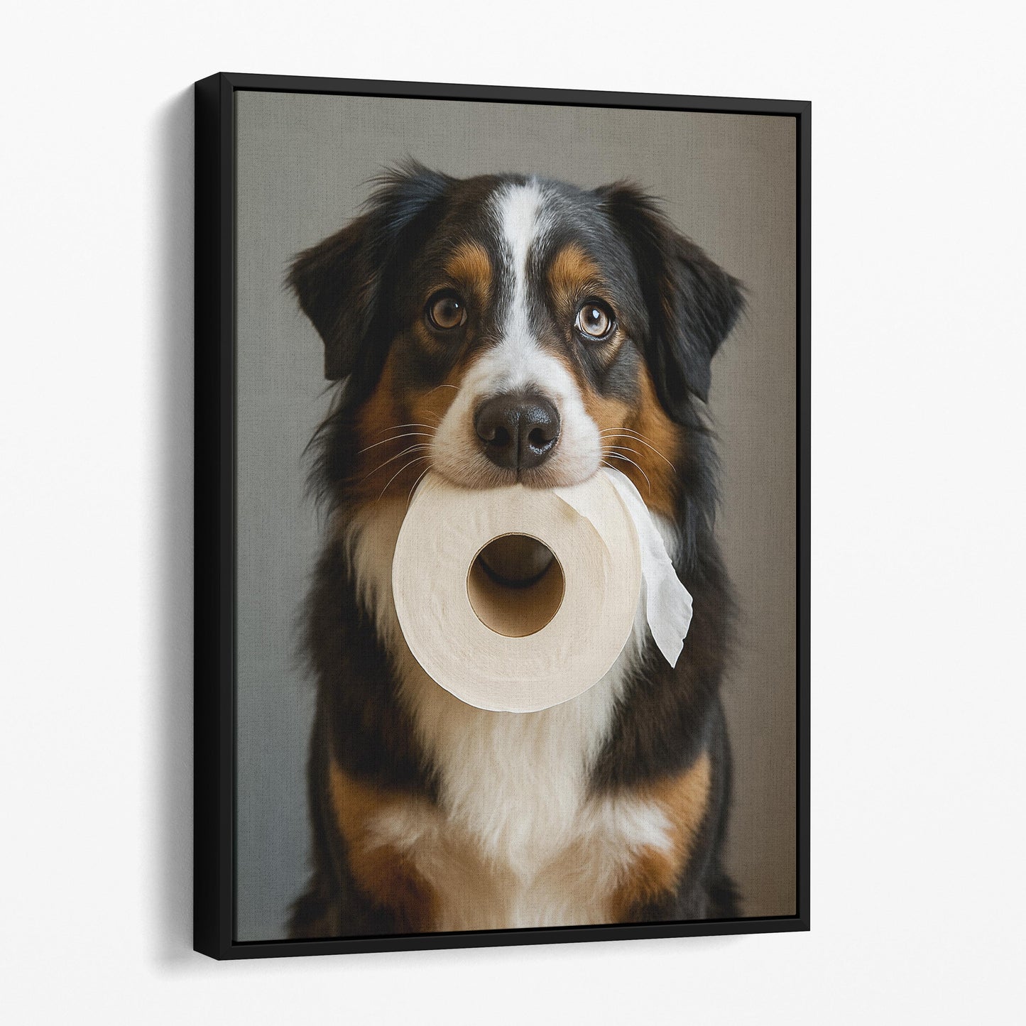 Australian Shepherd Dog Toilet Paper